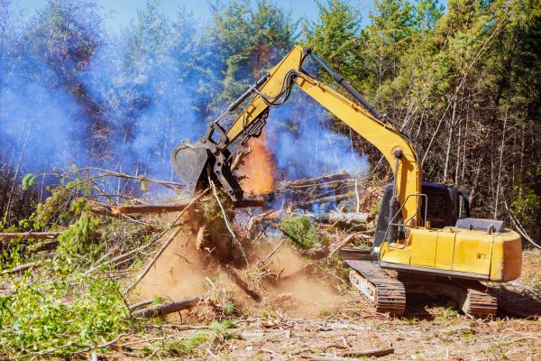 Bangor Land Clearing